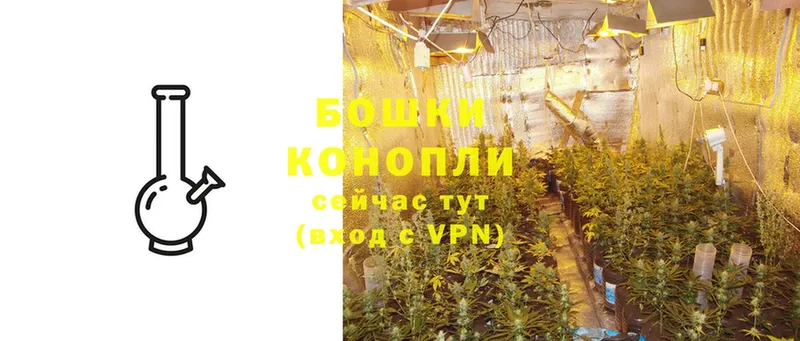 Каннабис SATIVA & INDICA  Красноперекопск 